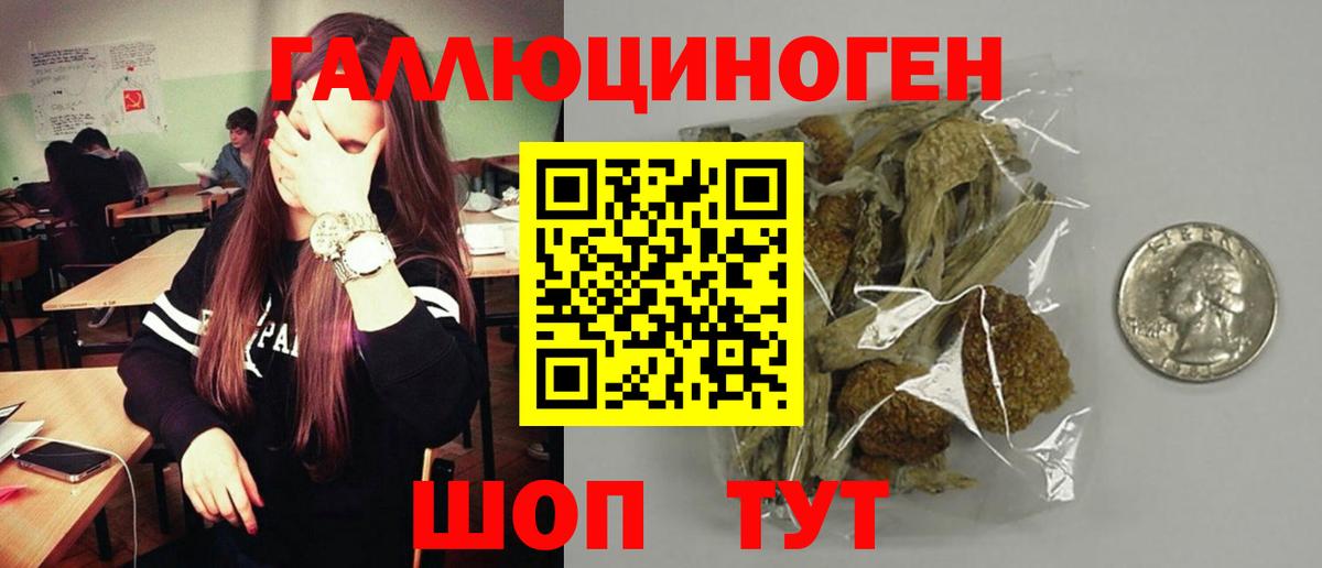 Галлюциногенные грибы Psilocybine cubensis  Вход с VPN  Маркс  Псилоцибиновые грибы мицелий 